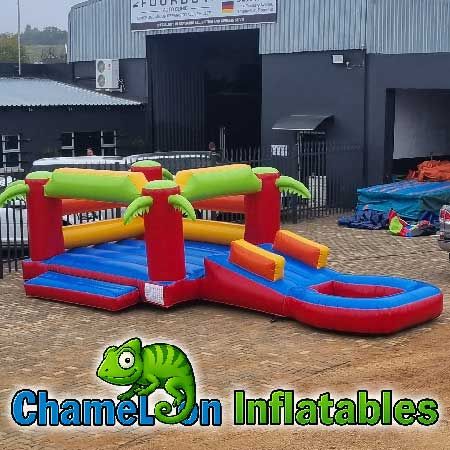Slide @ Side With Palm Trees (Small)